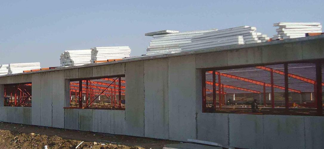 新型环保节能养殖工厂厂房建设 打造绿色养殖新时代